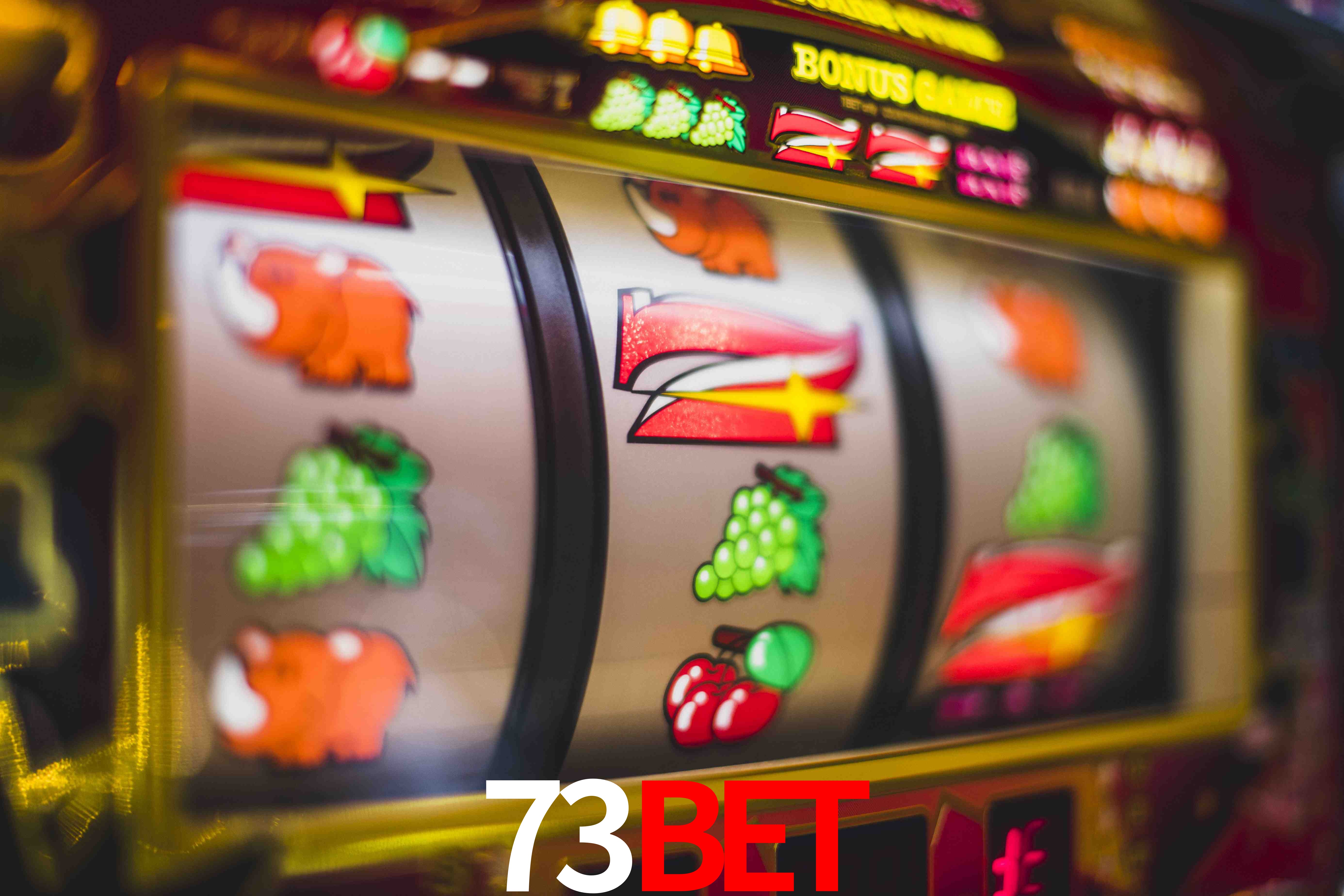 Welcome Bonus 73bet